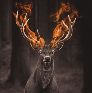 Meet your Posher, Byron